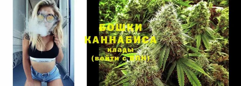 Каннабис OG Kush  Сорочинск 